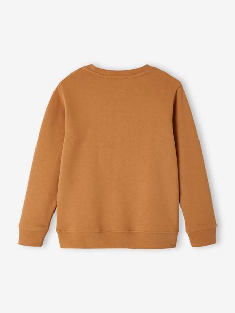 Sweat Basics motifs graphiques garçon blanc chiné+bleu nuit+bordeaux+noix de pécan+vert 22 - vertbaudet enfant 