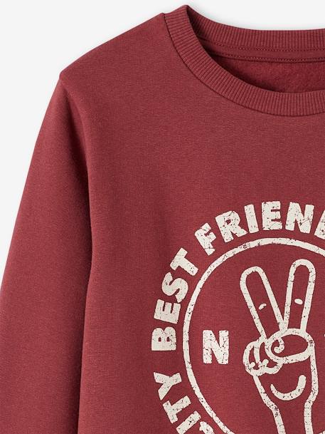 Sweat Basics motifs graphiques garçon blanc chiné+bleu nuit+bordeaux+noix de pécan+vert 17 - vertbaudet enfant 
