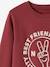 Sweat Basics motifs graphiques garçon blanc chiné+bleu nuit+bordeaux+noix de pécan+vert 17 - vertbaudet enfant 