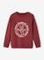 Sweat Basics motifs graphiques garçon blanc chiné+bleu nuit+bordeaux+noix de pécan+vert 15 - vertbaudet enfant 