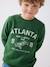 Sweat Basics motifs graphiques garçon blanc chiné+bleu nuit+bordeaux+noix de pécan+vert 26 - vertbaudet enfant 