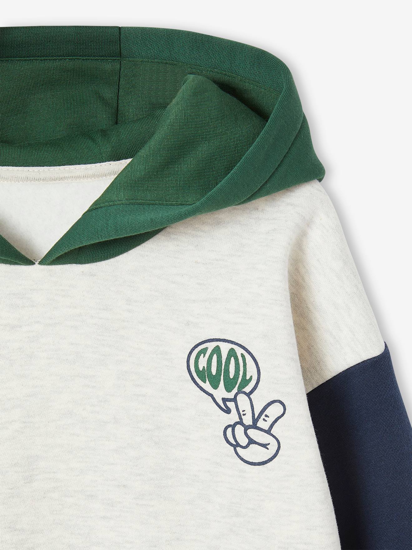 VERTBAUDET Sweat garçon zippé à Capuche Effet Colorblock Sport Vert Sapin 14A