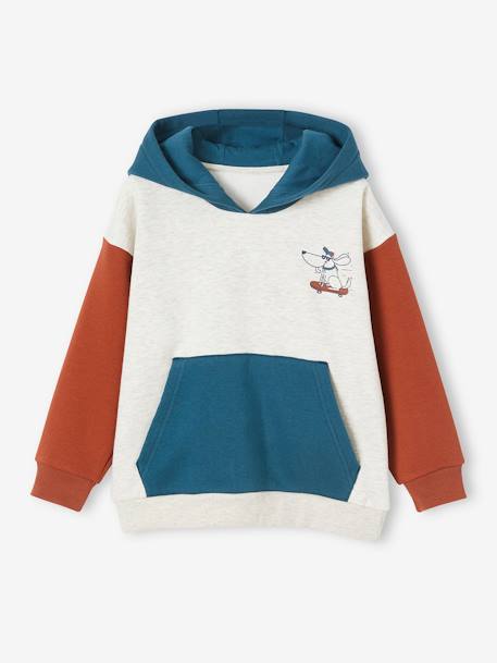 Garçon-Pull, gilet, sweat-Sweat-Sweat à capuche colorblock garçon