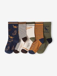 -Lot de 5 paires de chaussettes "dino" garçon