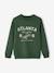 Sweat Basics motifs graphiques garçon blanc chiné+bleu nuit+bordeaux+noix de pécan+vert 29 - vertbaudet enfant 