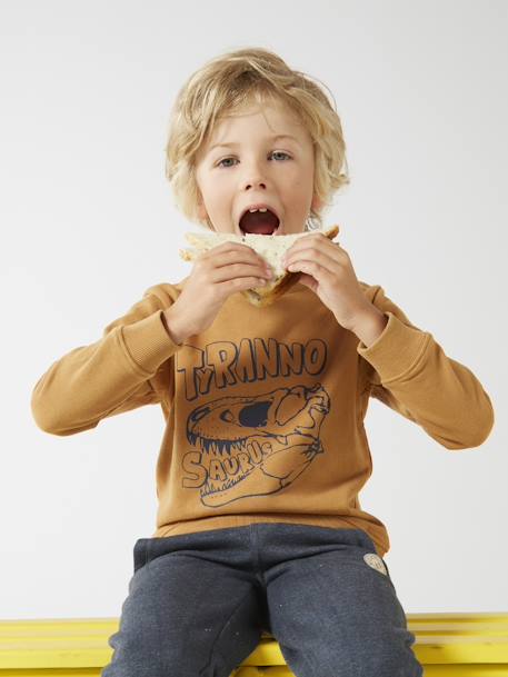 Sweat Basics motifs graphiques garçon blanc chiné+bleu nuit+bordeaux+noix de pécan+vert 20 - vertbaudet enfant 