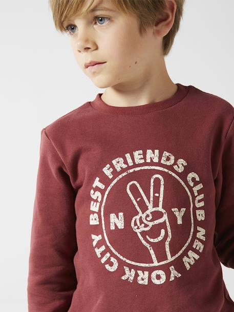 Sweat Basics motifs graphiques garçon blanc chiné+bleu nuit+bordeaux+noix de pécan+vert 14 - vertbaudet enfant 