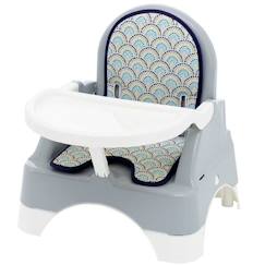 -THERMOBABY EDGAR Rehausseur&marche pied Gris Charme