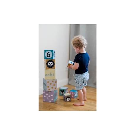 Cubes gigognes - KINDSGUT - motifs animaux et chiffres - jeu de tri et d’empilage en carton VERT 2 - vertbaudet enfant 