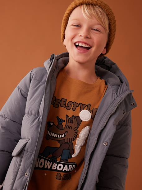 T-shirt animation fantaisie garçon en coton recyclé anthracite+bleu grisé+noix de pécan 15 - vertbaudet enfant 