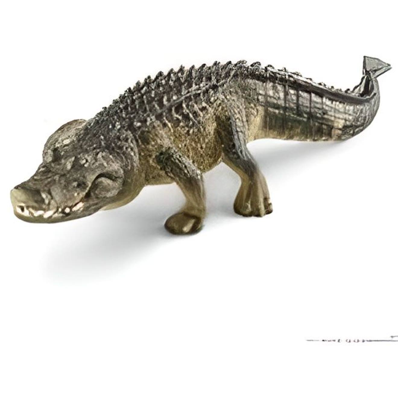 Figurine Alligator - Schleich - 14727 - Wild Life - Personnages Miniature - Mixte - 3 Ans Et Plus Ve