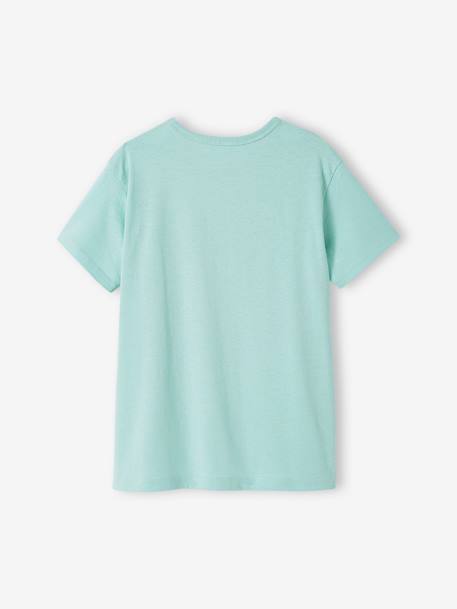 T-shirt motifs graphiques garçon manches courtes bleu ciel+bleu nuit+bois de rose+ECRU+turquoise 17 - vertbaudet enfant 