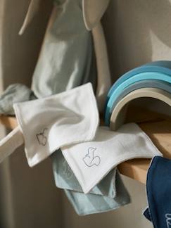 Puériculture-Lot de 6 lingettes lavables