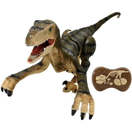 Dinosaure de simulation télécommandé - LEXIBOOK - Velociraptor 45 cm - Mouvements articulés - Effets lumineux - Sons de rugissement MARRON 1 - vertbaudet enfant 