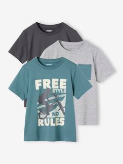 -Lot de 3 t-shirts garçon manches courtes