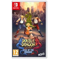 Double Dragon Gaiden: Rise of the Dragons - Jeu Nintendo Switch  - vertbaudet enfant