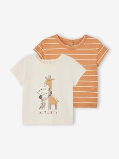 Lot de 2 T-shirts basics bébé manches courtes  - vertbaudet enfant