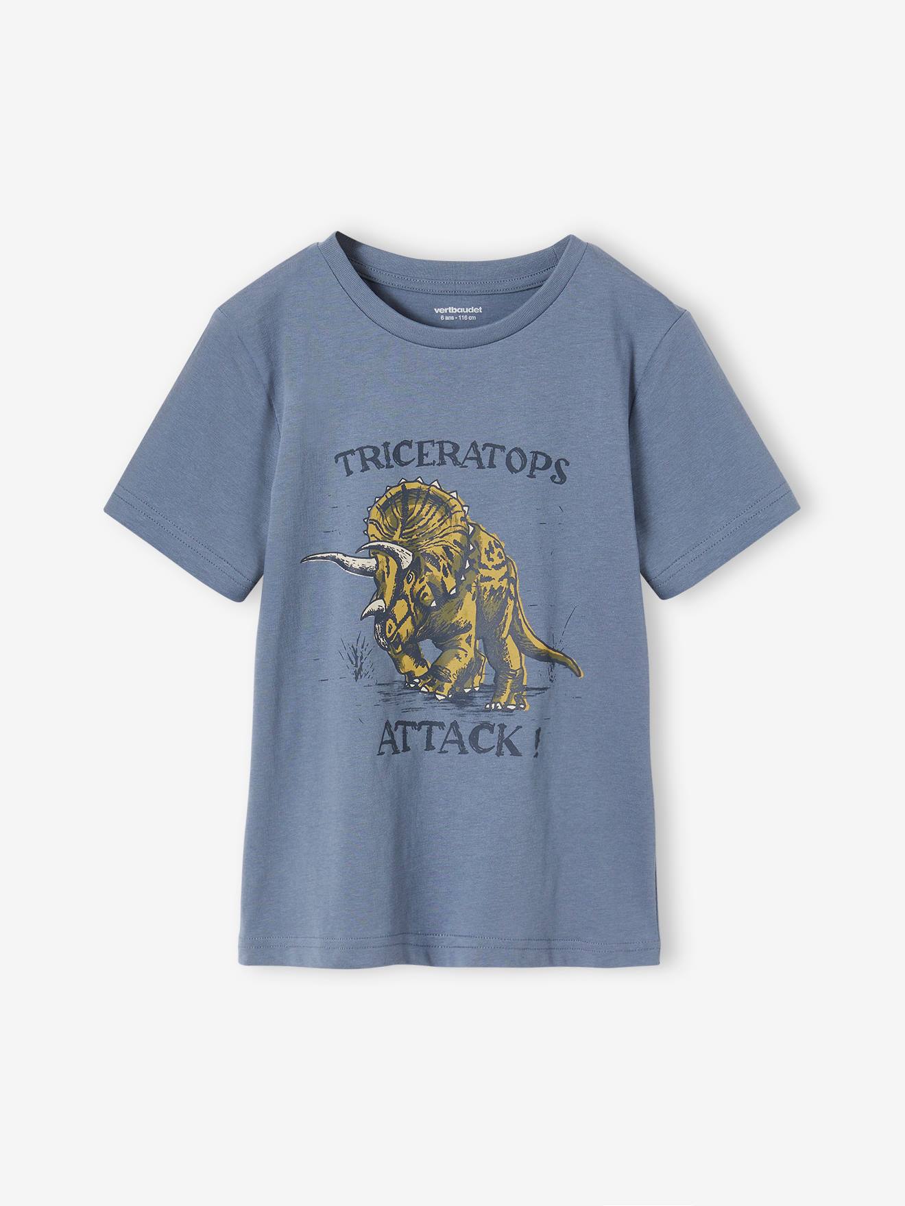 Tee-shirt motif dinosaure garçon bleu grisé