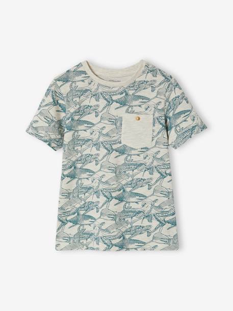 T-shirt motifs graphiques garçon manches courtes anthracite+blanc chiné+bleu ardoise+cannelle+lichen+noix de pécan+terracotta 4 - vertbaudet enfant 