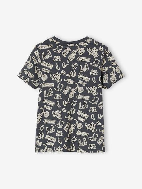 T-shirt motifs graphiques garçon manches courtes anthracite+blanc chiné+bleu ardoise+cannelle+lichen+noix de pécan+terracotta 2 - vertbaudet enfant 