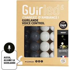 -Guirlande lumineuse LED USB - Commande Vocale - Maison connectée - 24 boules - Minuit