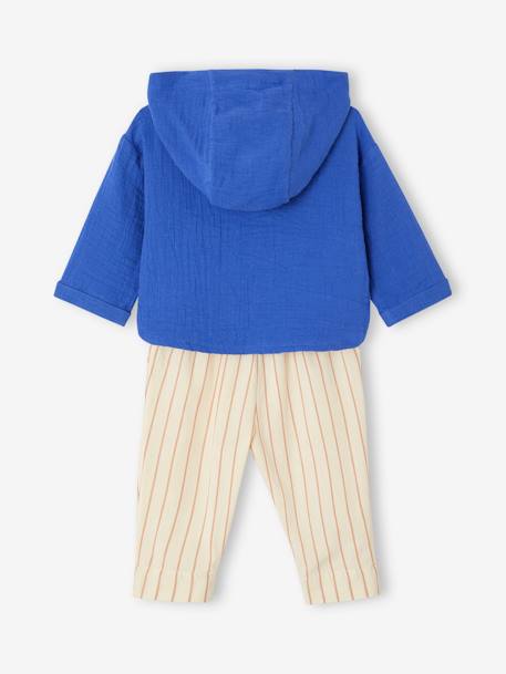 Ensemble bébé chemise en gaze de coton et pantalon bleu roi 6 - vertbaudet enfant 