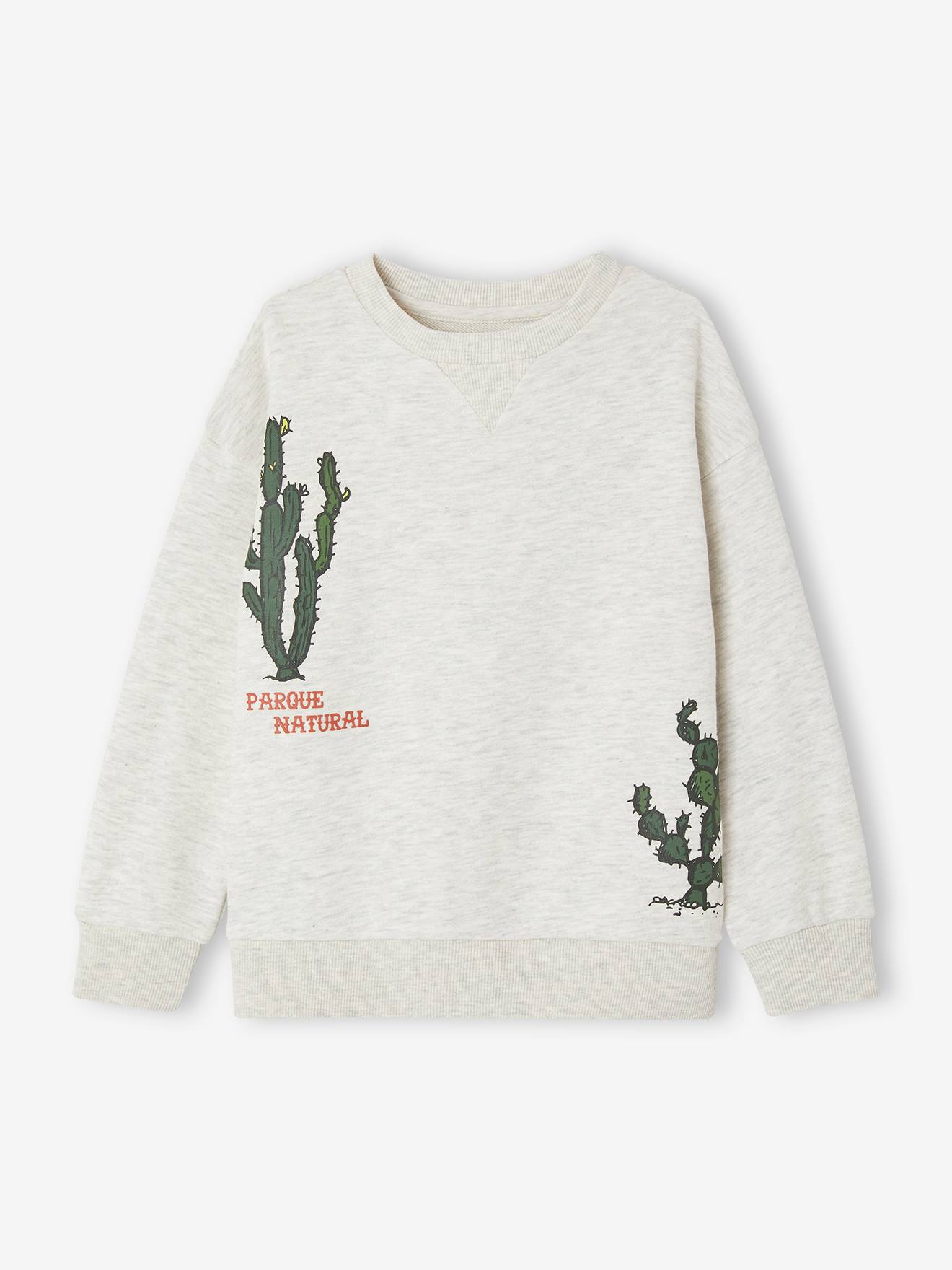Sweat motifs cactus garçon beige chiné