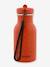 Gourde 350 ml bleu glacier+bleu pétrole+marron+Mr Dino+Mr Fox+Mr Lion+Mrs Cat+Mrs Elephant+Mrs Rabbit+Mrs Unicorn+rouge 37 - vertbaudet enfant 