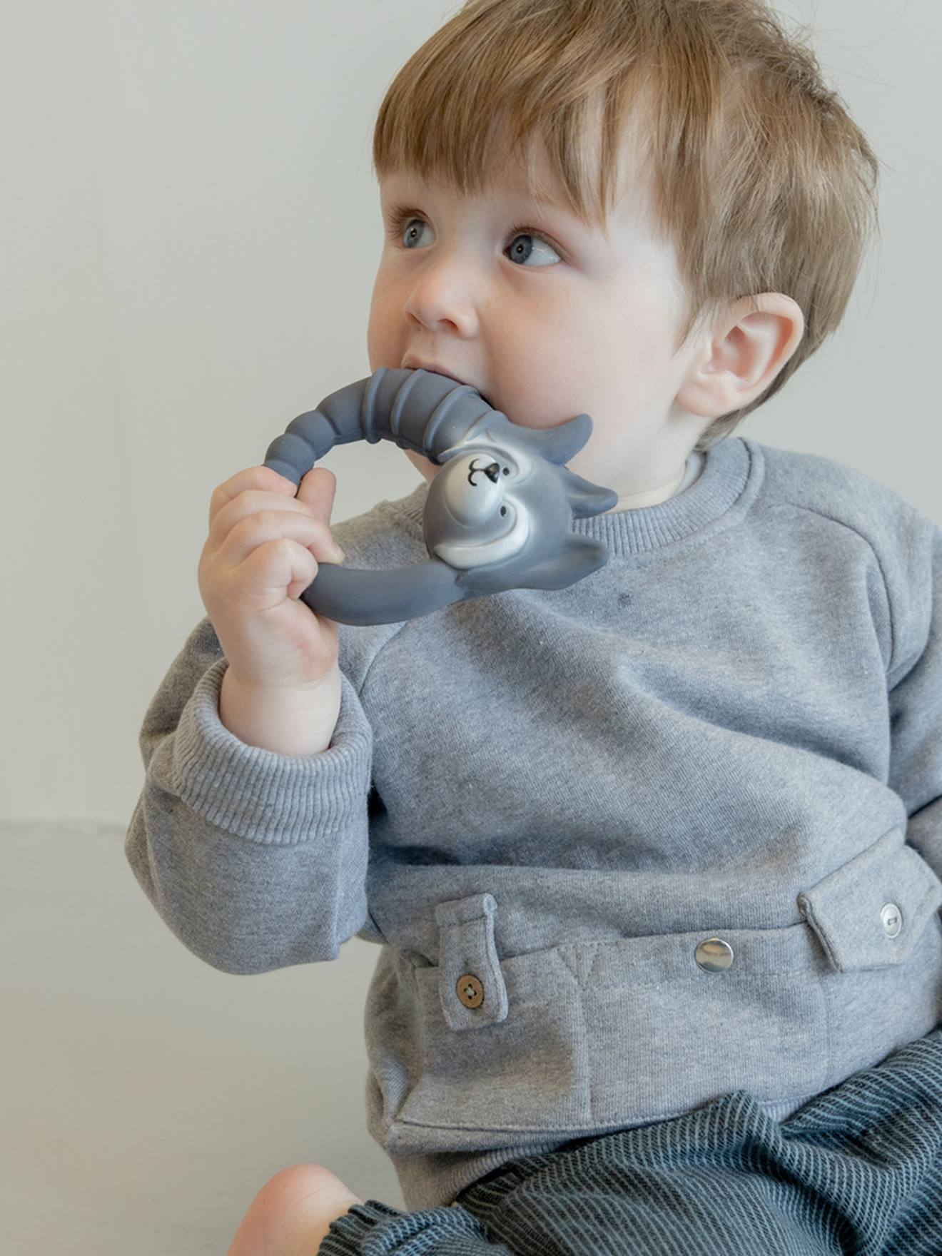 Anneau de dentition - raccoon