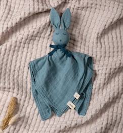 Jouet-Doudou lapin (Bleu)