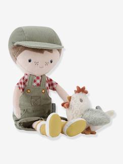 Jouet-Premier âge-Doudous et jouets en tissu-Poupée Jim avec poule - LITTLE DUTCH