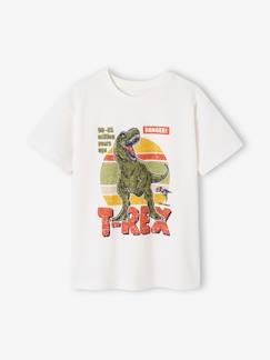 Garçon-T-shirt, polo, sous-pull-Tee-shirt dinosaure garçon