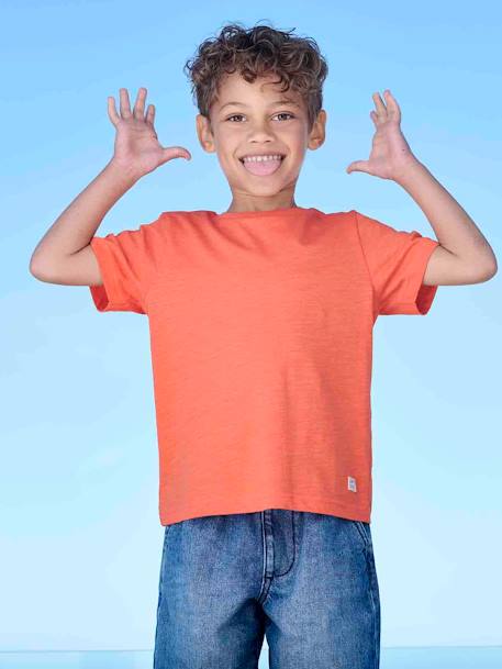 Vêtements bébé et enfants à personnaliser-Garçon-T-shirt Basics personnalisable garçon manches courtes