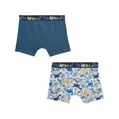 -Lot de 2 boxers garçon Brontonsaure