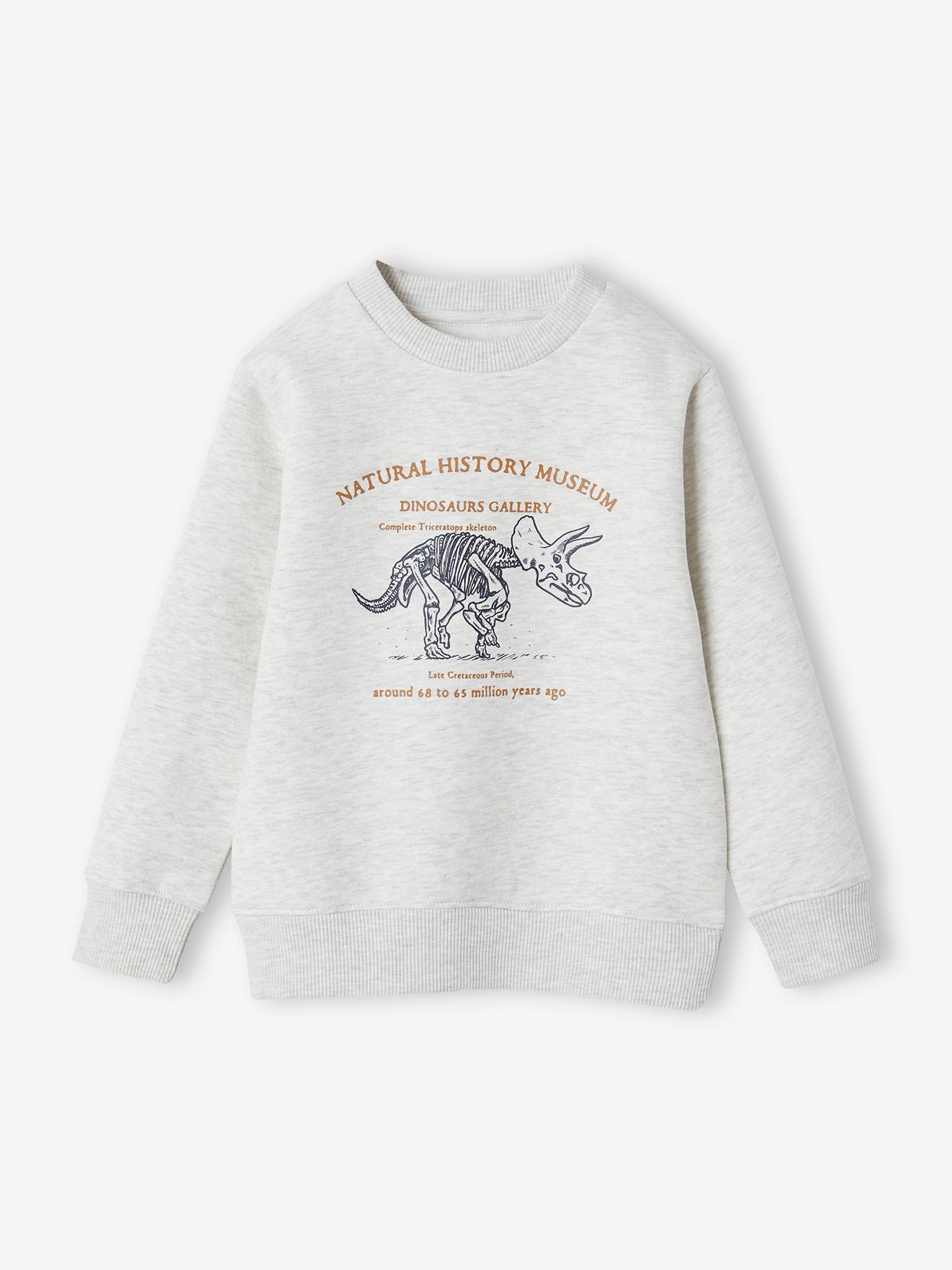 Sweat motif graphique garçon blanc chiné