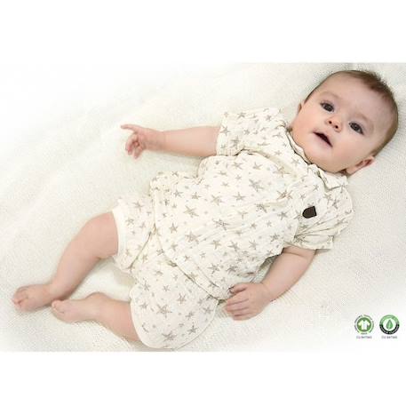 Ensemble t-shirt et short bébé en coton biologique, SACHA Multicolore BEIGE 3 - vertbaudet enfant 