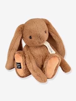 Jouet-Peluche le lapin -