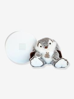 Jouet-Premier âge-Peluches-Peluche lapin Marius -