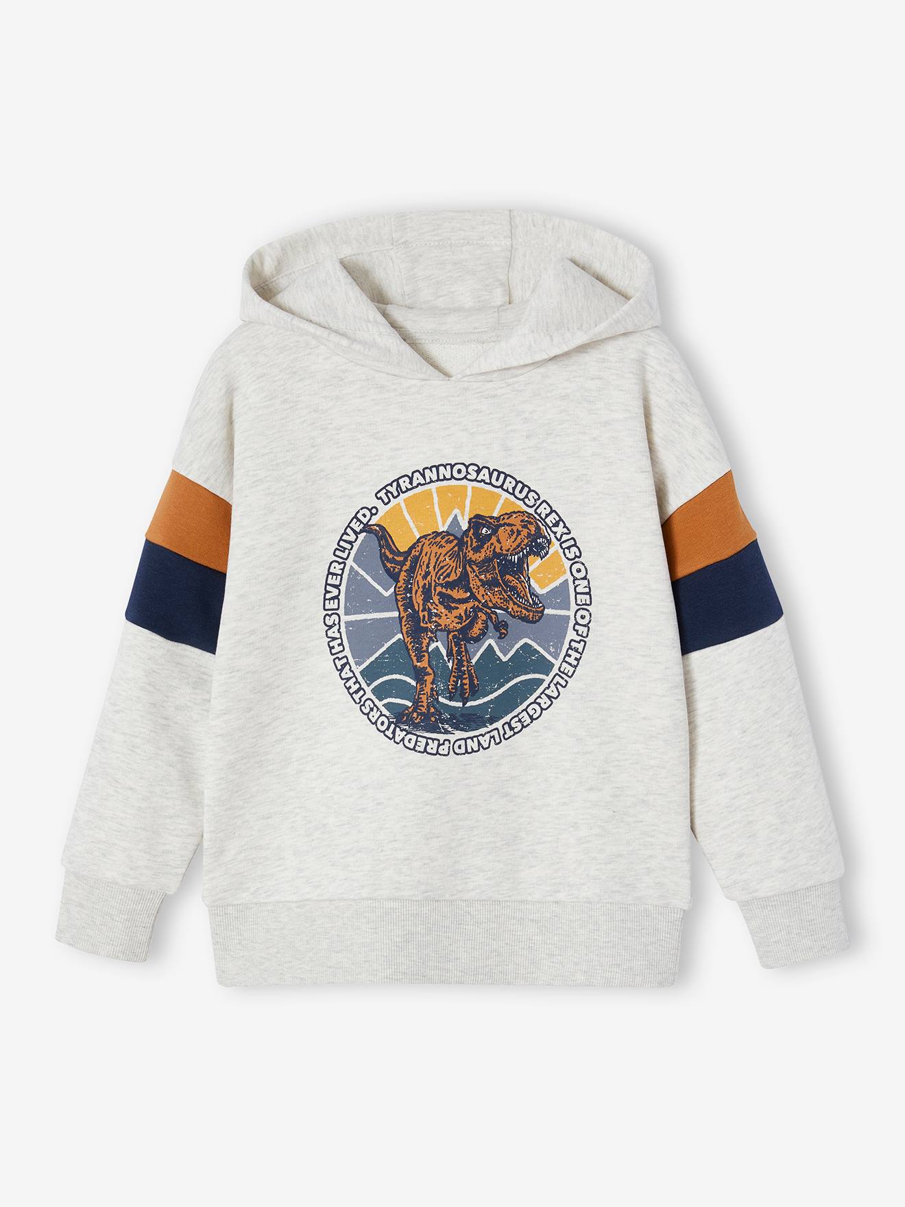 Sweat à capuche motif grahique garçon manches colorblock blanc chiné
