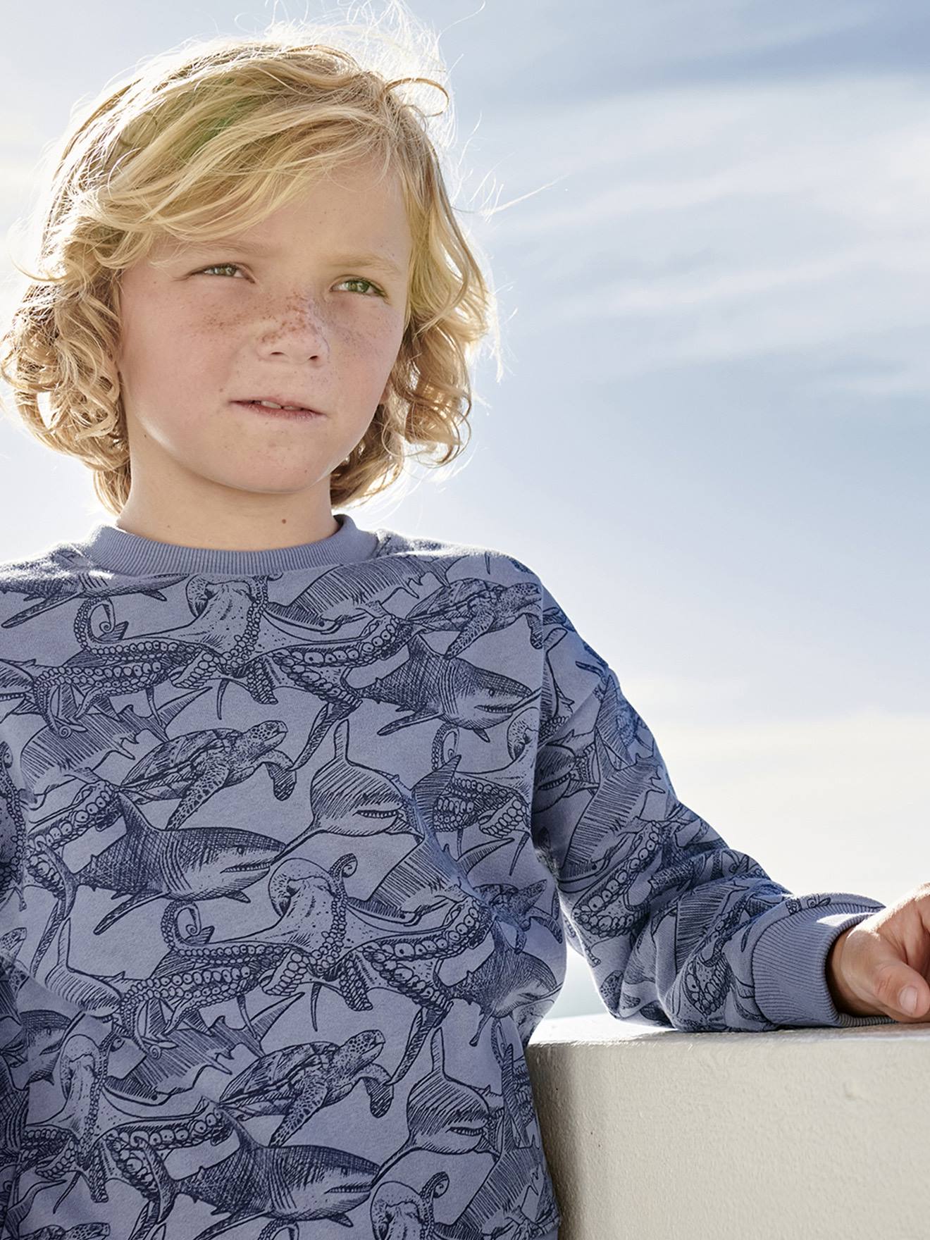 Sweat motifs crayonnés garçon bleu grisé