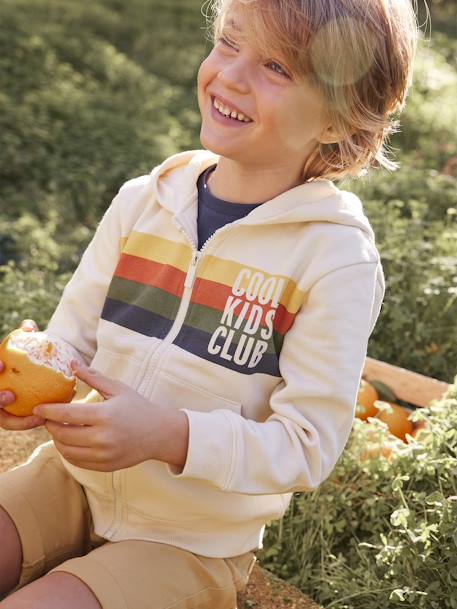Garçon-Sweat garçon zippé à capuche animation rayures 