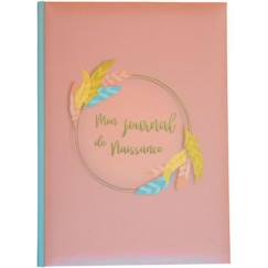 Jouet-Mon livre de naissance - Multicolore - 31.5 x 22 cm