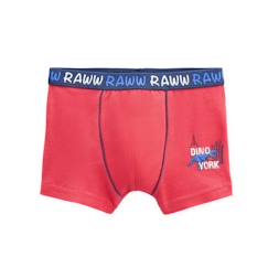 -Lot de 2 boxers garçon Terrian