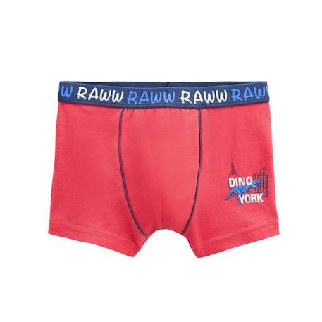 Garçon-Lot de 2 boxers garçon Terrian