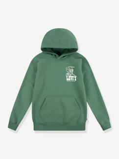 -Sweat à capuche LVB Lasso it up Hoodie LEVI'S