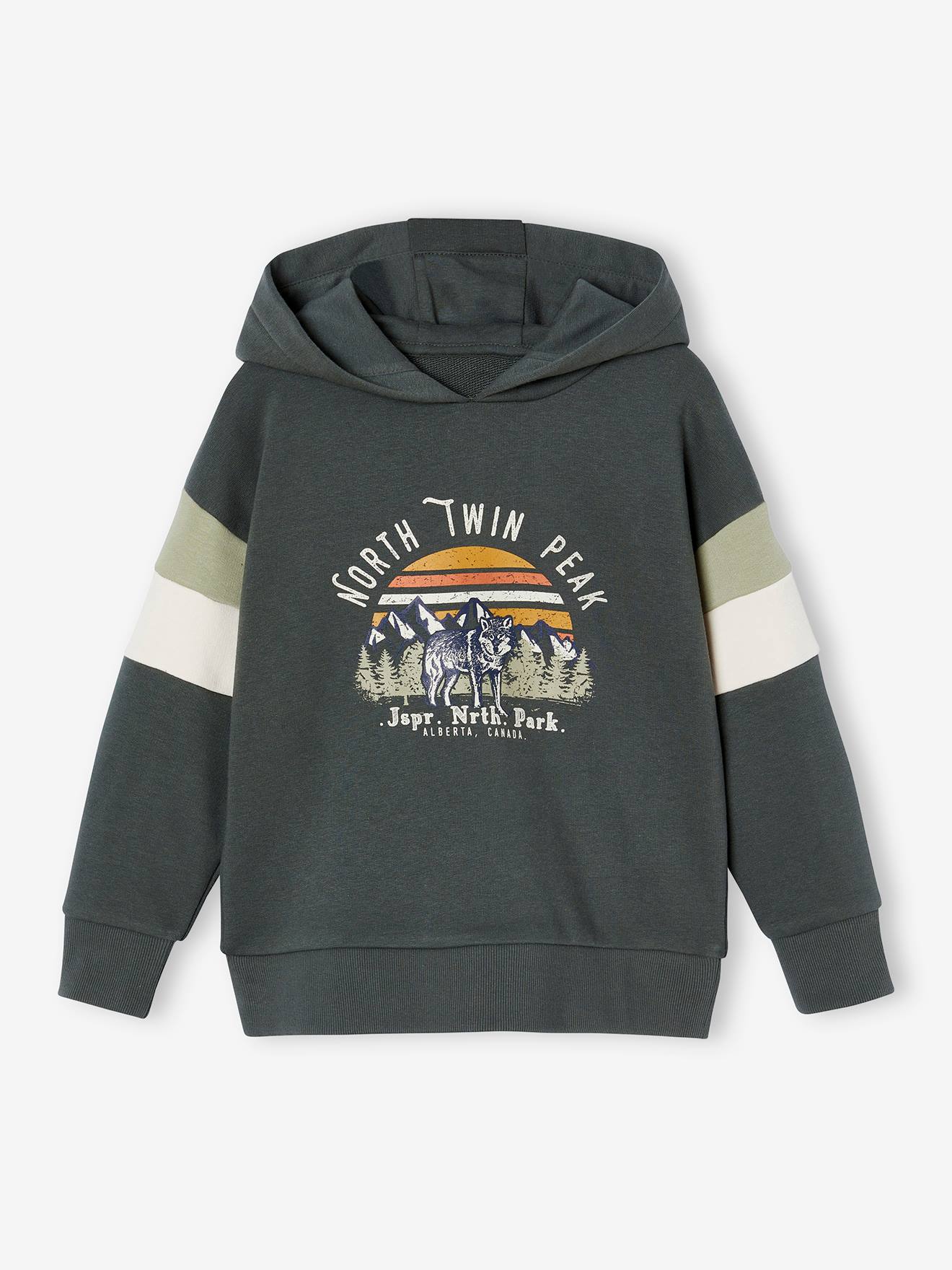Sweat à capuche motif grahique garçon manches colorblock lichen