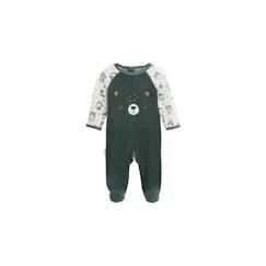 -Pyjama bébé en velours - PETIT BEGUIN - Meilleur Copain - Vert - Garçon - Bébé