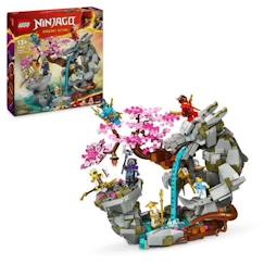 Jouet-LEGO NINJAGO 71819 Le Sanctuaire de la Roche du Dragon, Jouet de Ninjas, 6 Minifigurines