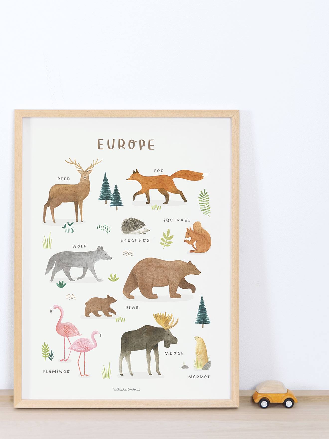 Affiche Animaux d'Europe Living Earth LILIPINSO marron
