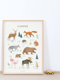 -Affiche Animaux d'Europe Living Earth LILIPINSO